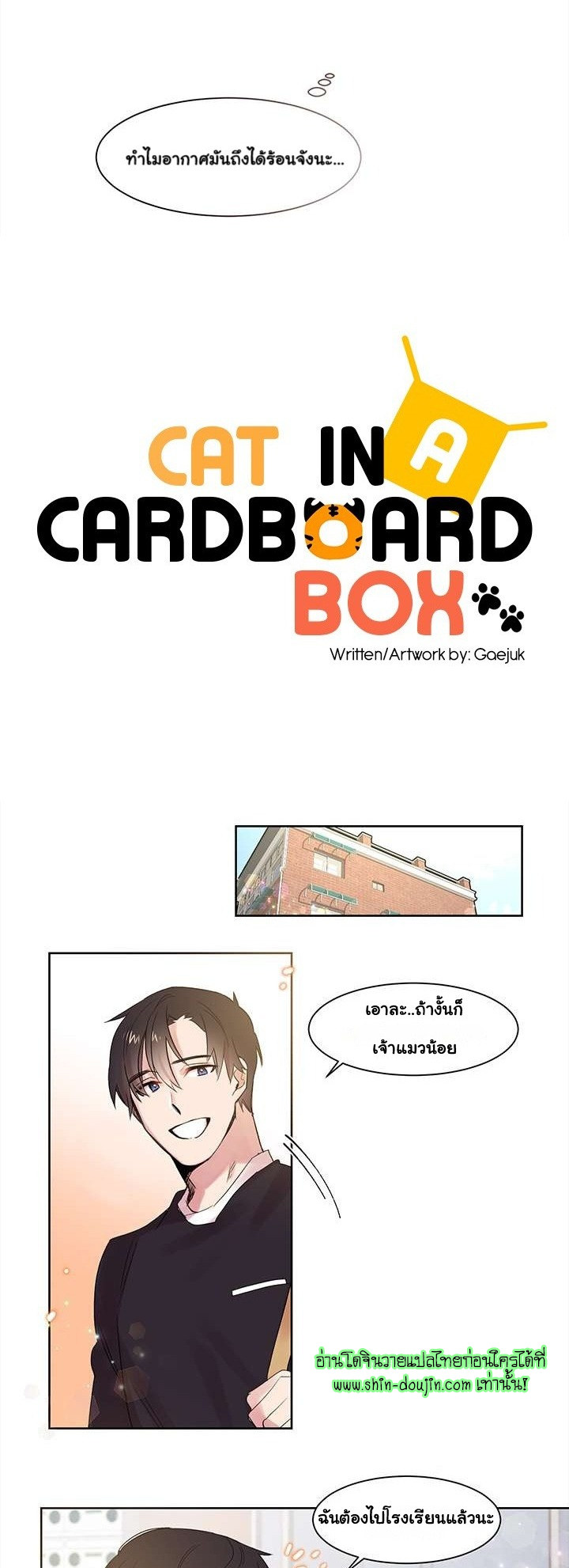 Cat in a Cardboard Box EP 5